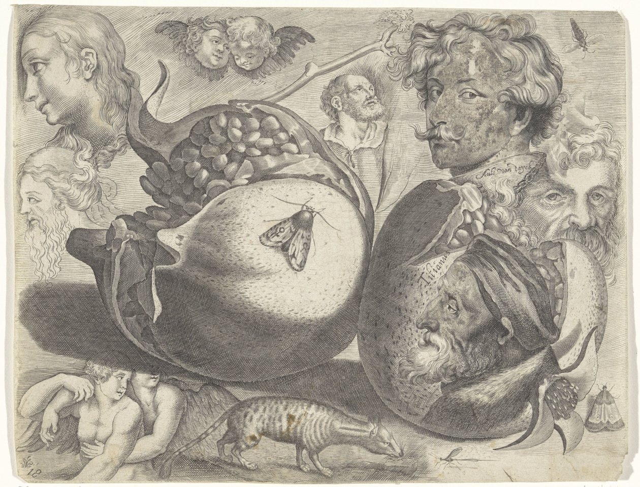 Folha de estudo com exemplos de desenhos: cabeças, figuras, frutas, animais Exemplos de desenho (título da série) de Michael Snijders