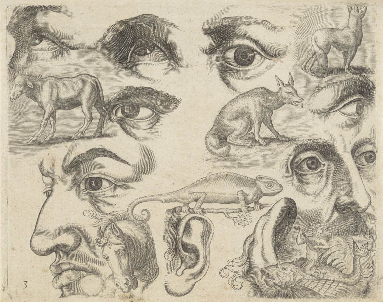 Folha de estudo com exemplos de desenho: olhos, cabeças e animais
Exemplos de desenho (título da série) de Michael Snijders