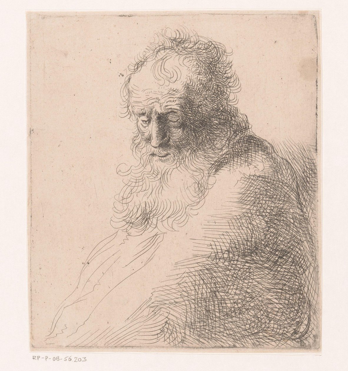 Busto de um velho com barba de Michael Willmann (attributed to)