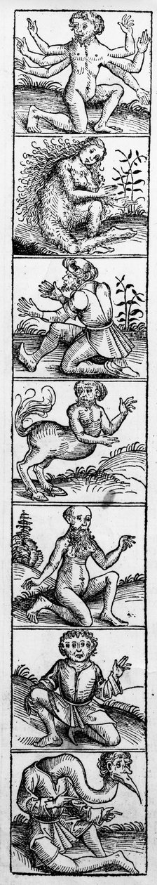 Monstros do &39;Nuremberg Chronicle&39; de Hartmann Schedel, publicado em 1493 de Michael Wolgemut