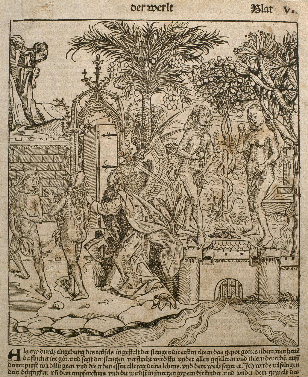 Adão e Eva, ilustração do &39;Liber Chronicarum&39; de Hartmann Schedel (1440-1514), publicada em Nuremberg, 1493 de Michael and Pleydenwurff, W. Wolgemuth