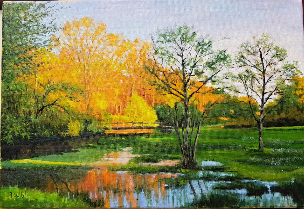 Campo inundado na Gironda (óleo sobre tela) de Michel Bultet