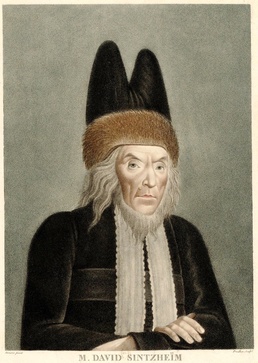 Retrato de David Sintzheim 1745-1812, 1800s. de Michel François Damame Demartrais