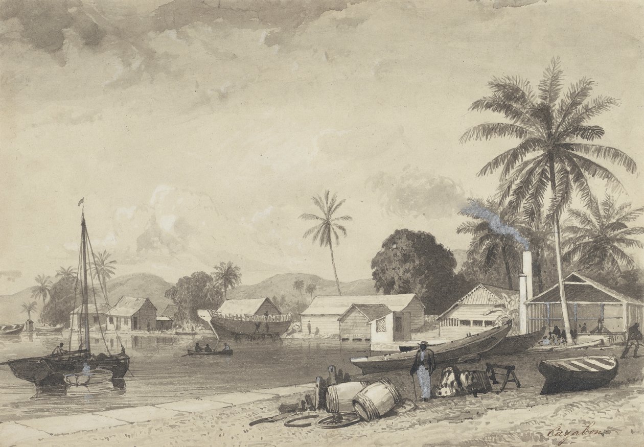 Cidade de Corbeaux, Porto de Espanha de Michel Jean Cazabon