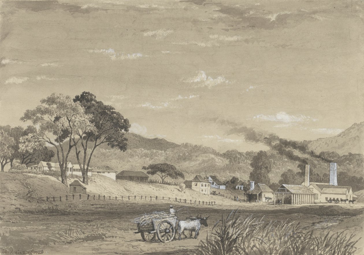 Garden Estate, Arouca de Michel Jean Cazabon