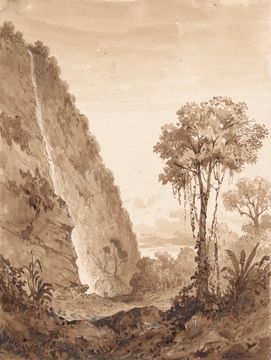 Cascata de Maraccas de Michel Jean Cazabon