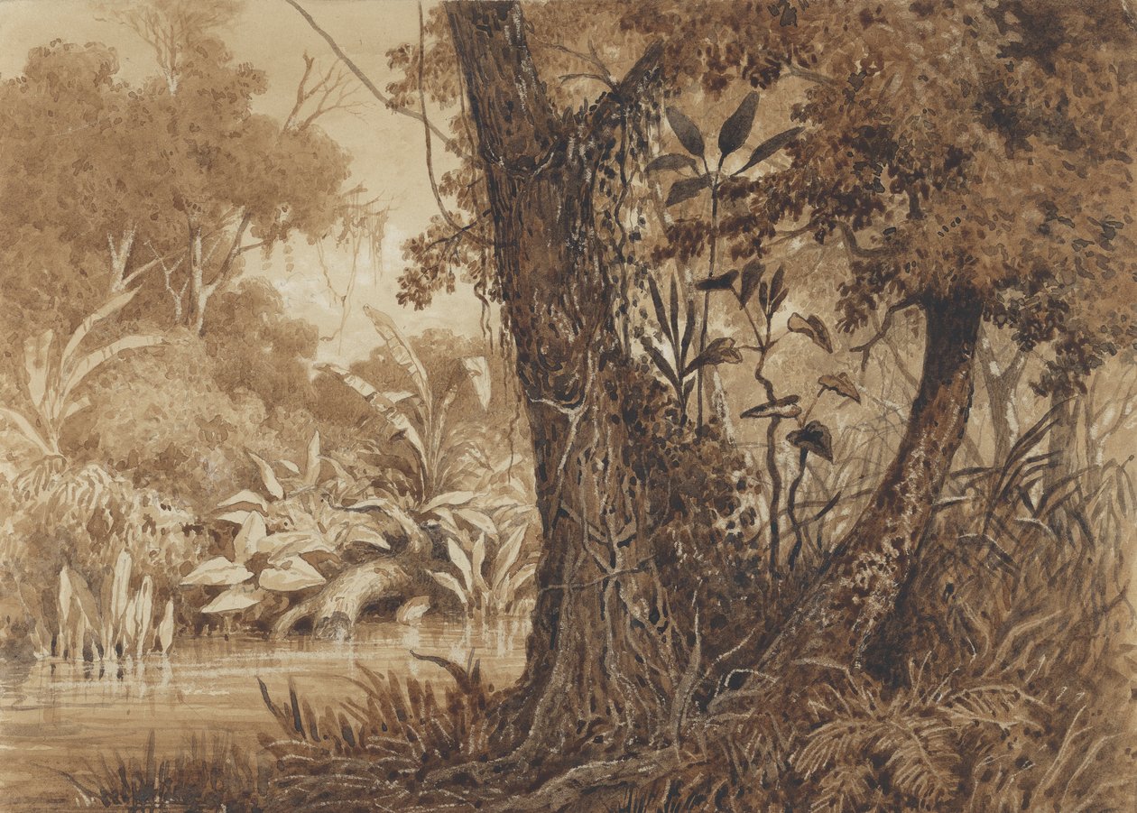 Sobre o rio Cimaronero de Michel Jean Cazabon