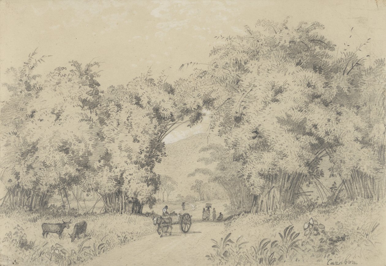 Estrada para St. Ann