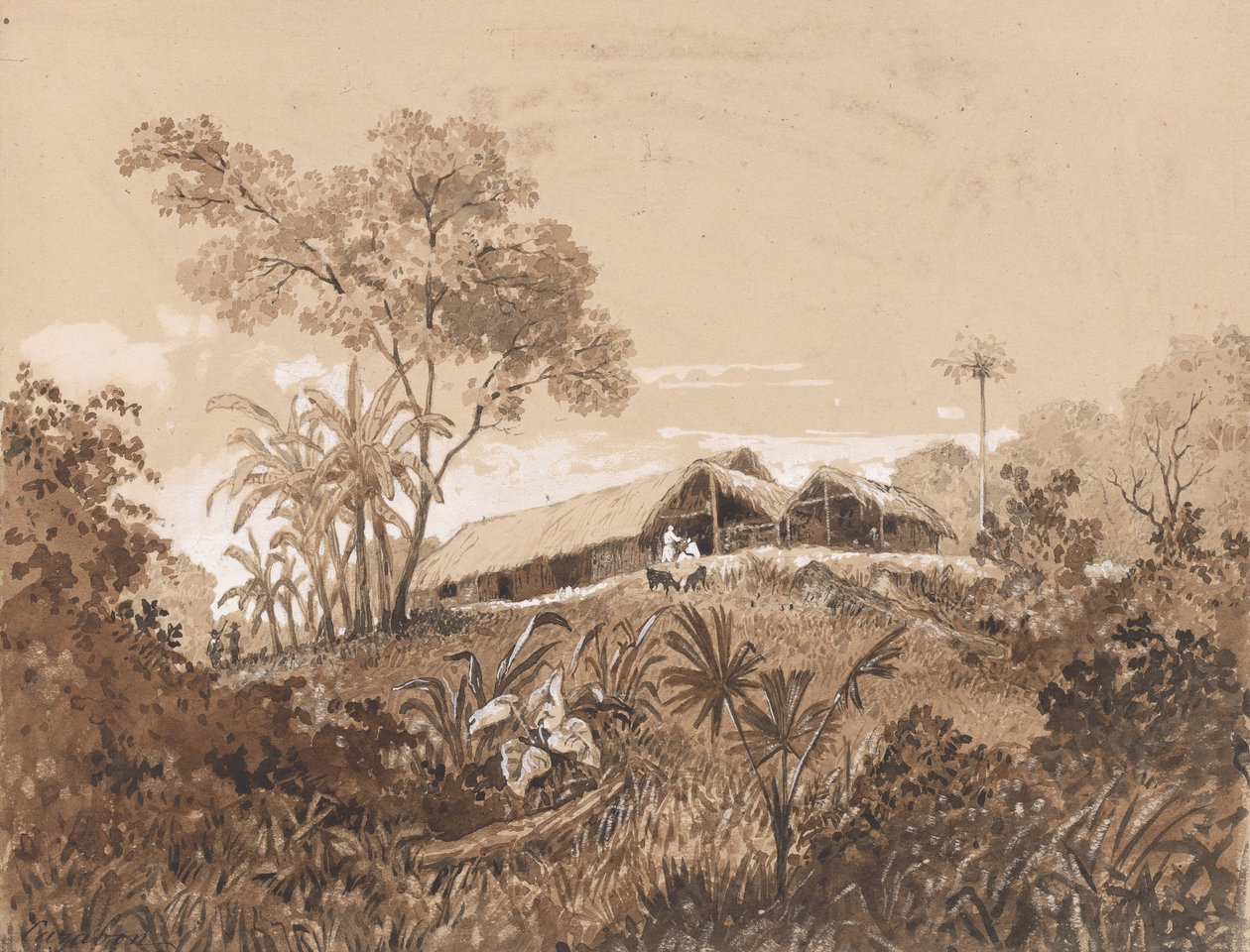 A casa de campo, Monte Tamana de Michel Jean Cazabon