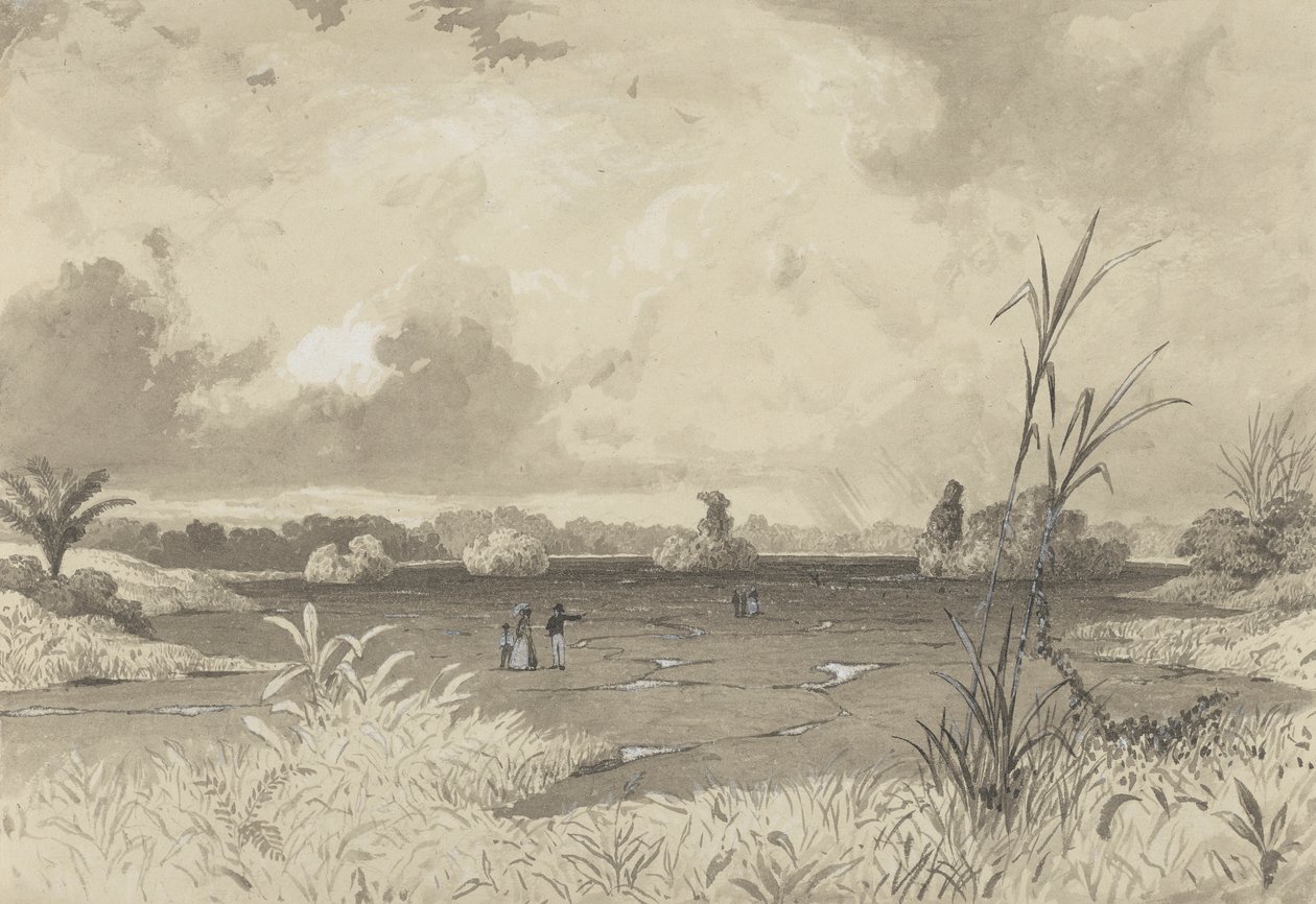 O Lago Pitch de Michel Jean Cazabon
