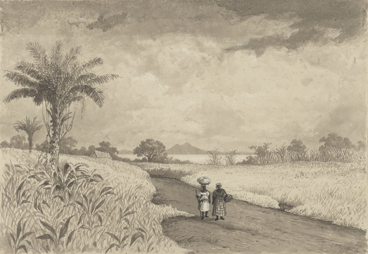 O caminho para o Lago Pitch de Michel Jean Cazabon