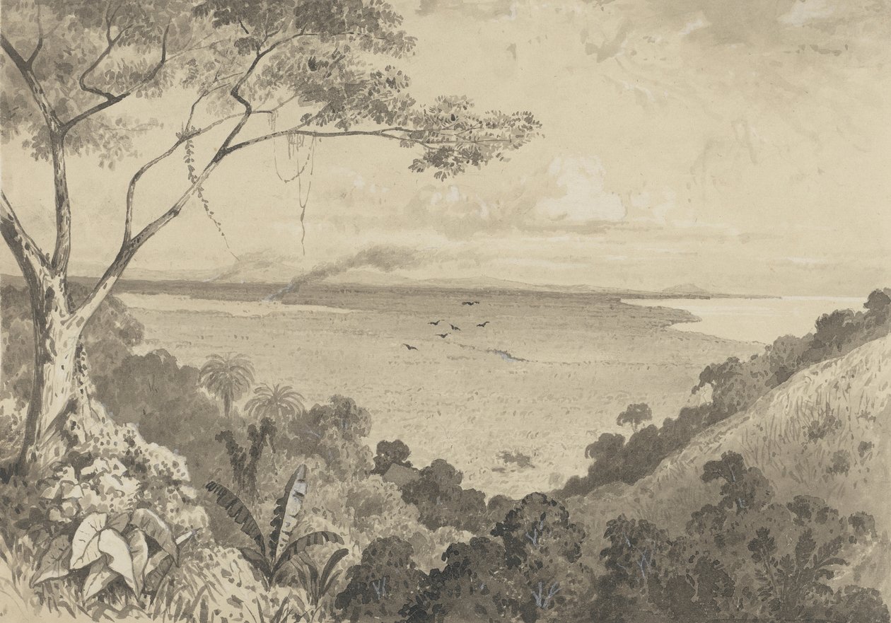 Vista de Laventille Hill de Michel Jean Cazabon
