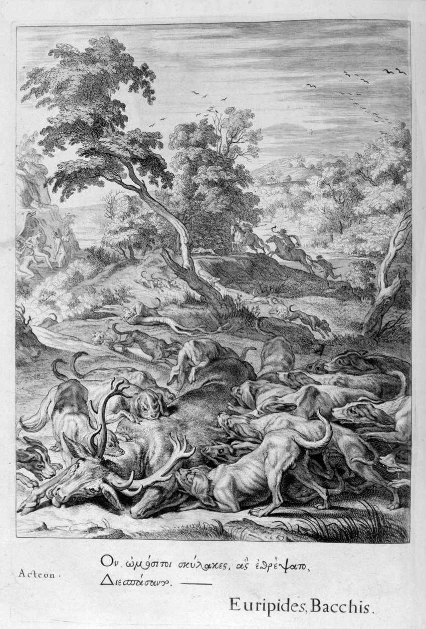 Actaeon se transformou em um veado e devorado por seus cães, 1655 de Michel de Marolles