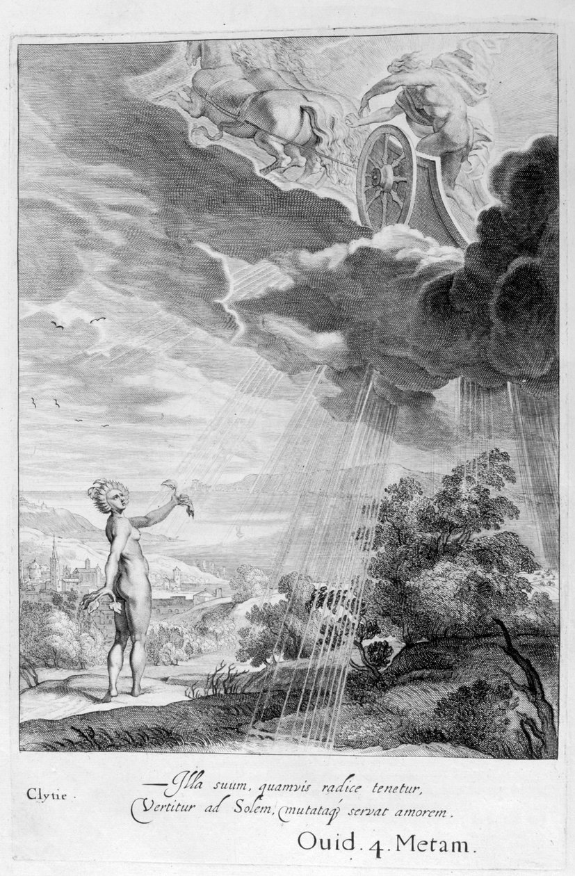 Clytie transformado em girassol, 1655 de Michel de Marolles