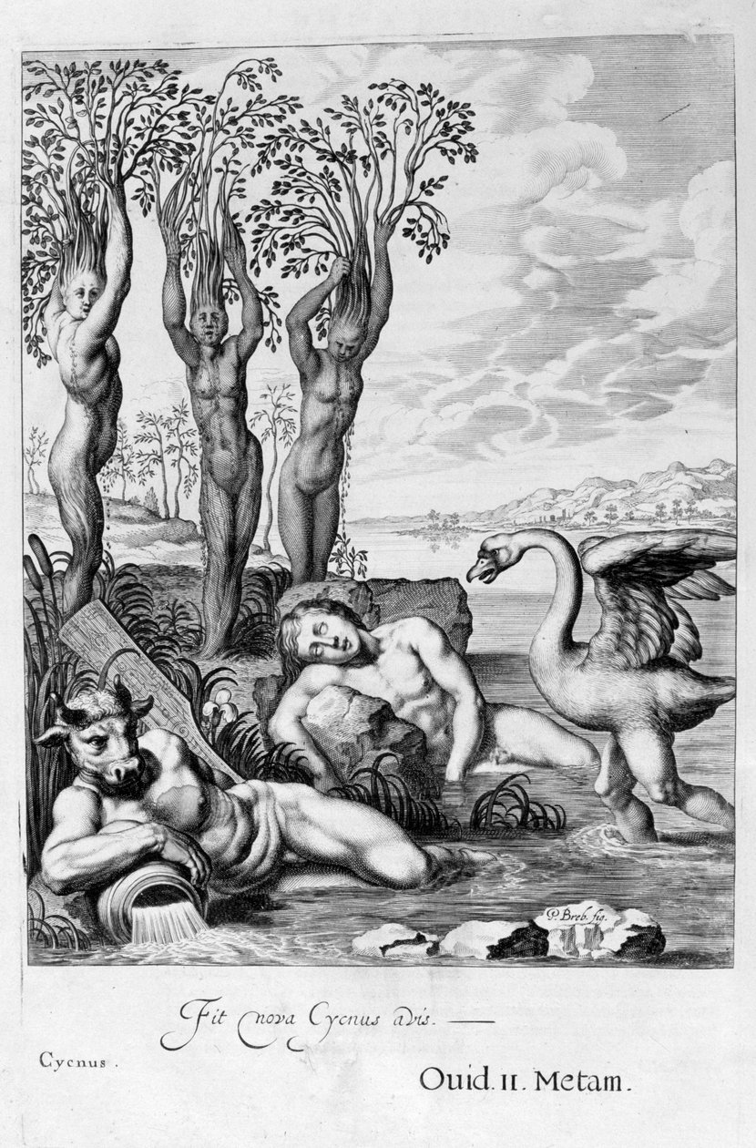 Cygnus transformado em cisne e irmãs Phaetons em choupos, 1655 de Michel de Marolles