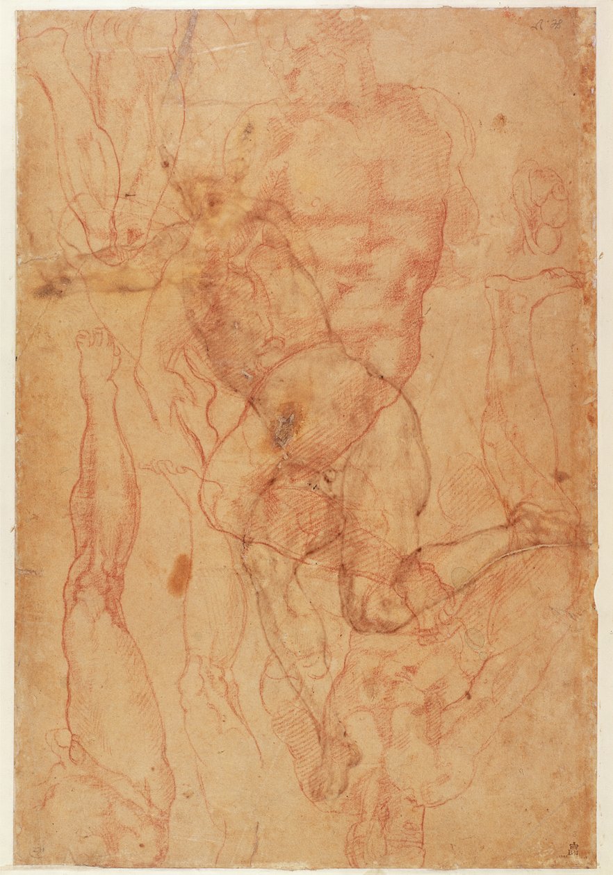 Figura Estudo (giz vermelho sobre papel) de Michelangelo Buonarroti
