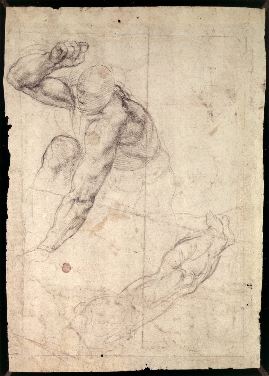 Estudo da figura masculina de Michelangelo Buonarroti