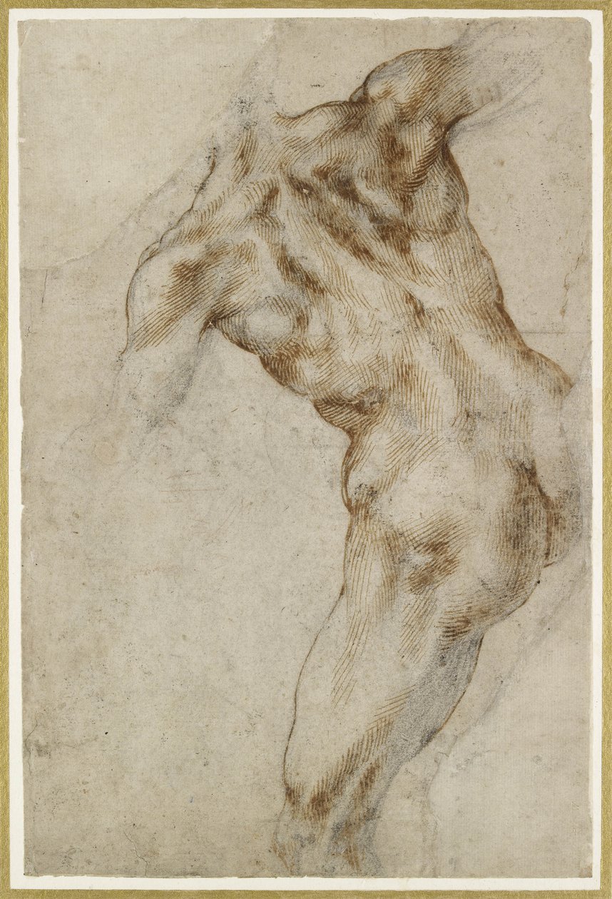 Torso masculino nu de Michelangelo Buonarroti