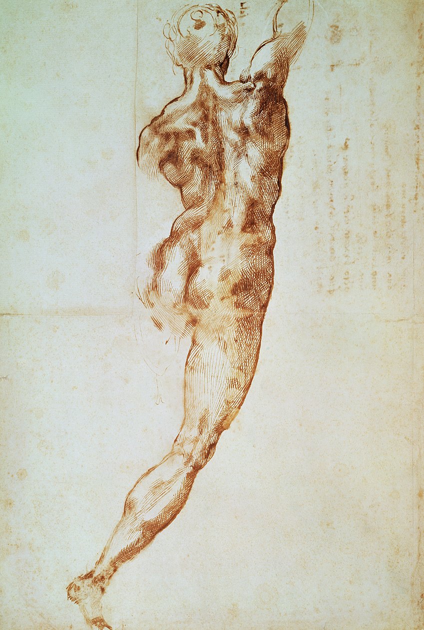 Nu, estudo para a Batalha de Cascina (giz vermelho sobre papel) de Michelangelo Buonarroti