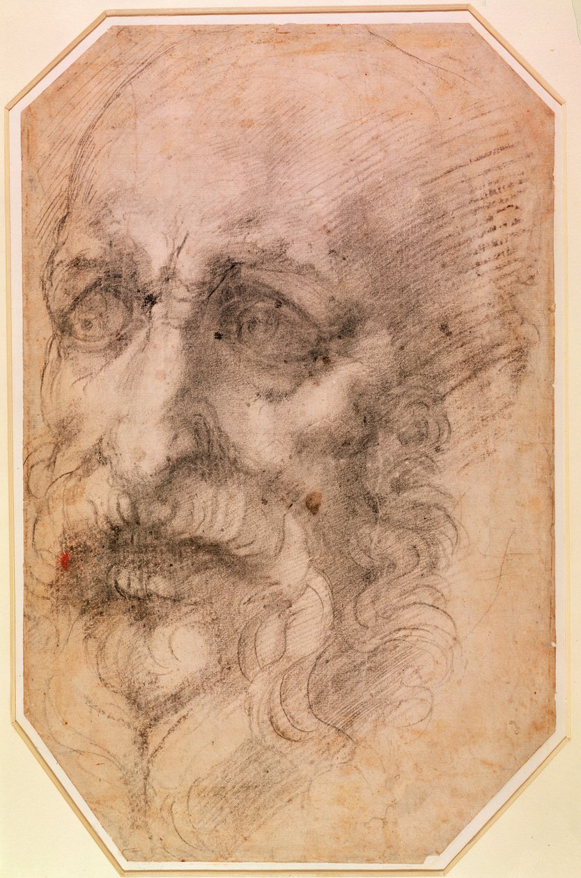 Retrato de um homem de barba (giz preto sobre papel) (reto) (para verso ver 191768) de Michelangelo Buonarroti