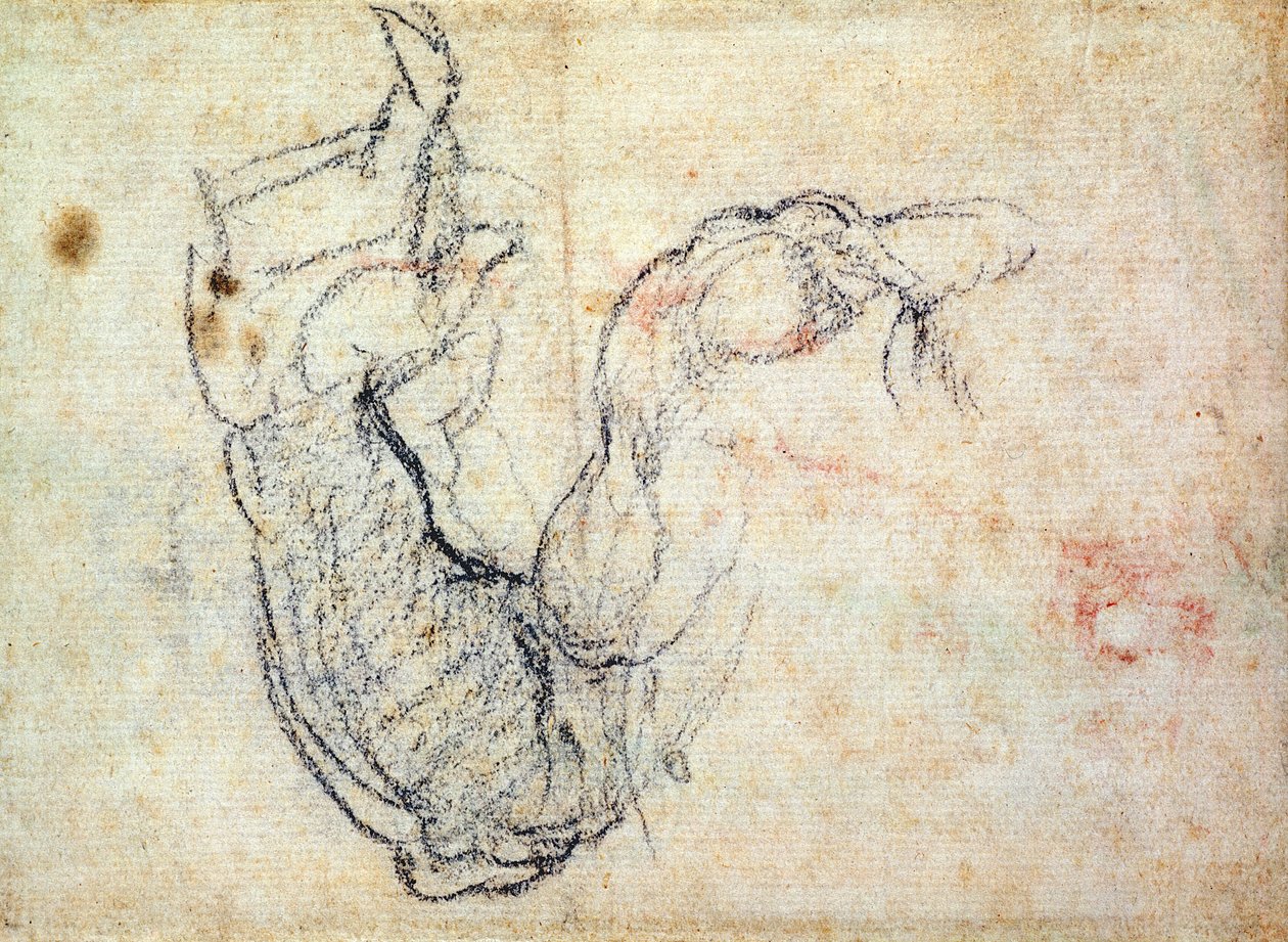 Estudo Preparatório para o Braço de Cristo no Juízo Final, 1535-41 (giz preto sobre papel) (reto) de Michelangelo Buonarroti