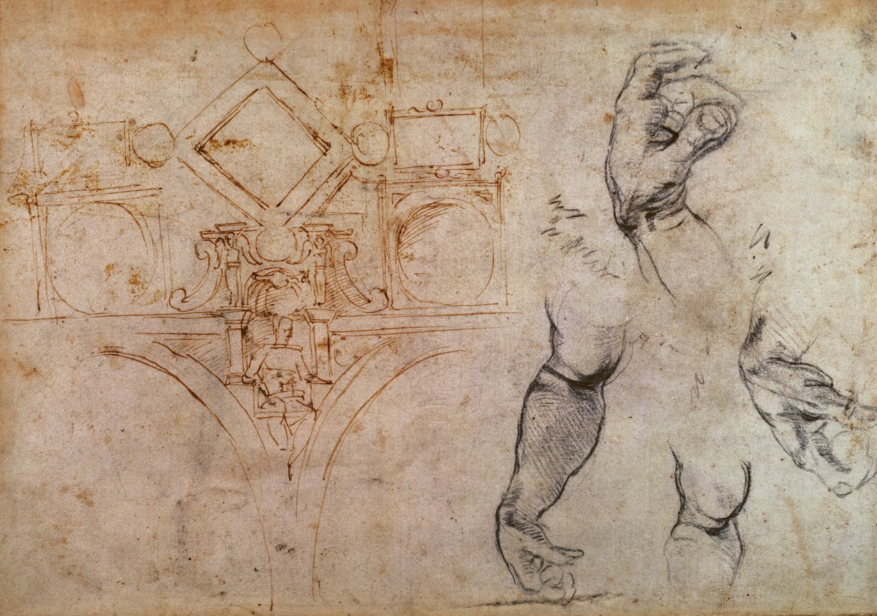 Esquema para o teto da Capela Sistina, c.1508 (caneta e tinta sobre papel) de Michelangelo Buonarroti