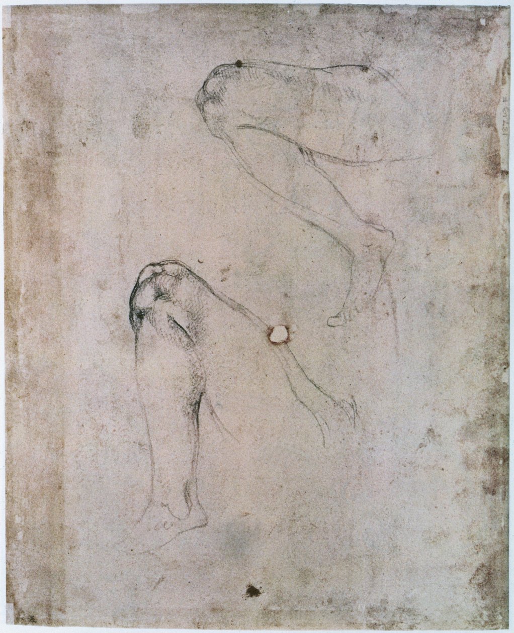 Capela Sistina Teto (1508-12): Dois esboços da perna direita de Eva da cena do pecado original (carvão no papel) de Michelangelo Buonarroti