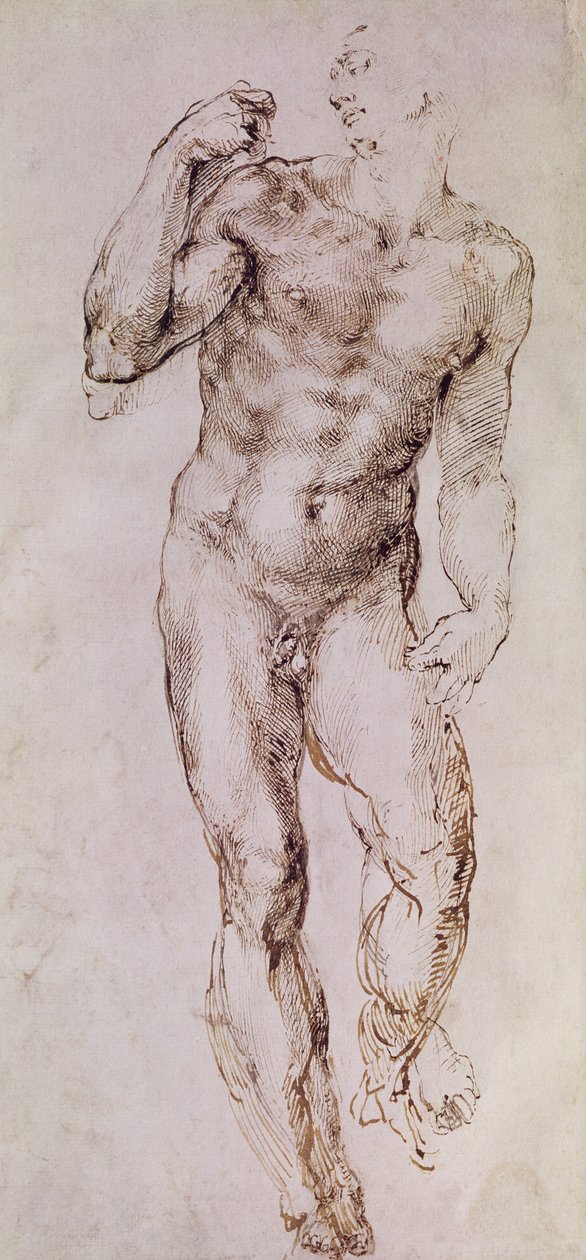 Esboço de David com seu Sling, 1503-4 de Michelangelo Buonarroti