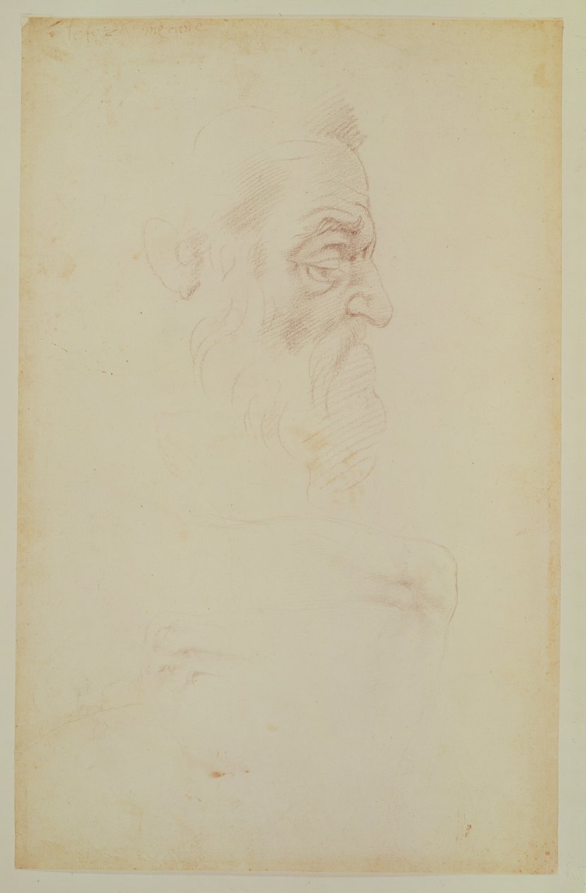 Esboço de uma cabeça masculina e duas pernas (carvão no papel) de Michelangelo Buonarroti