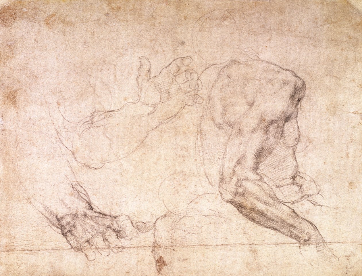 Estudos de mãos e um braço (giz preto sobre papel) (verso) de Michelangelo Buonarroti