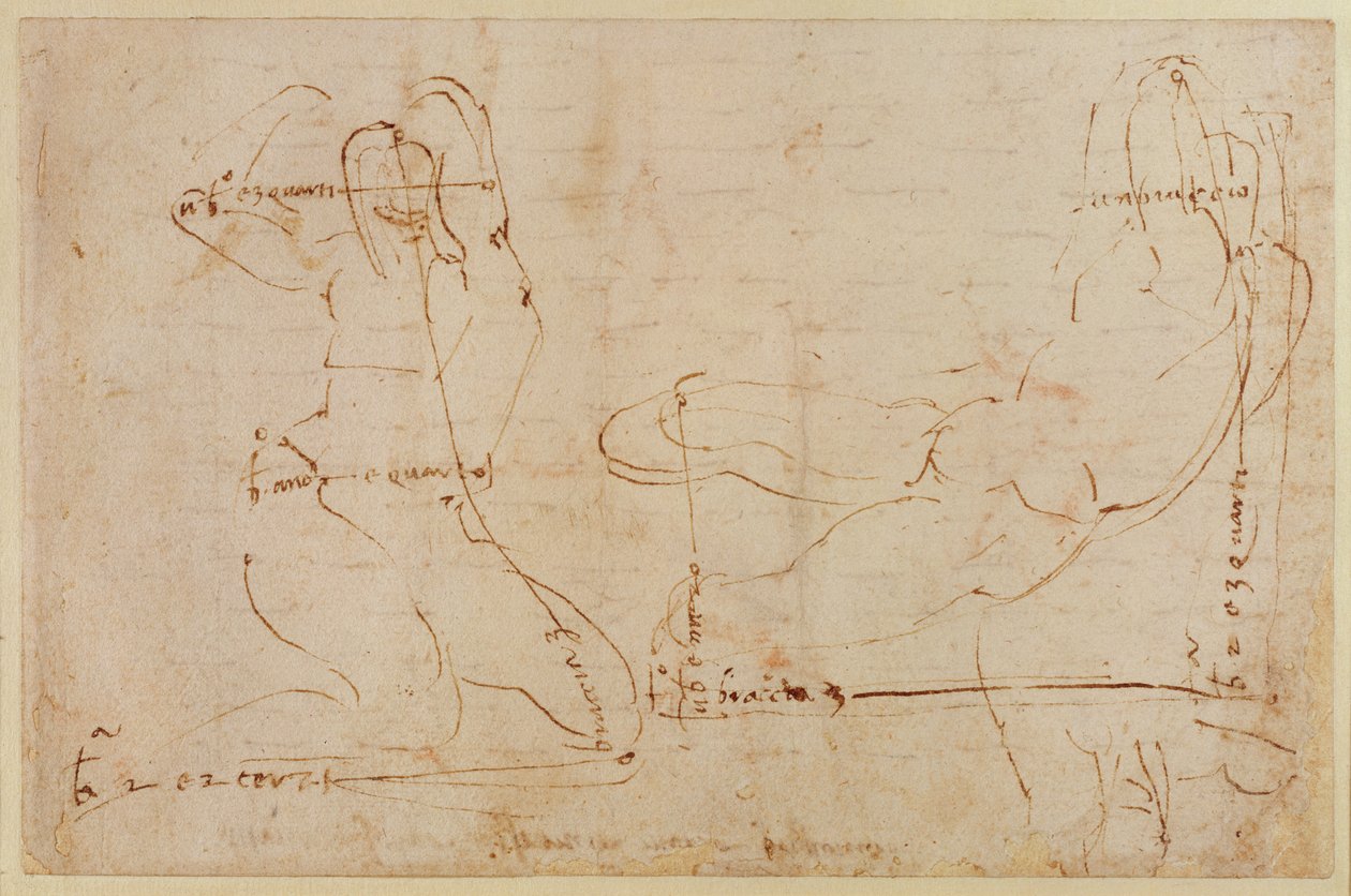 Estude para o Deus do rio de Michelangelo Buonarroti