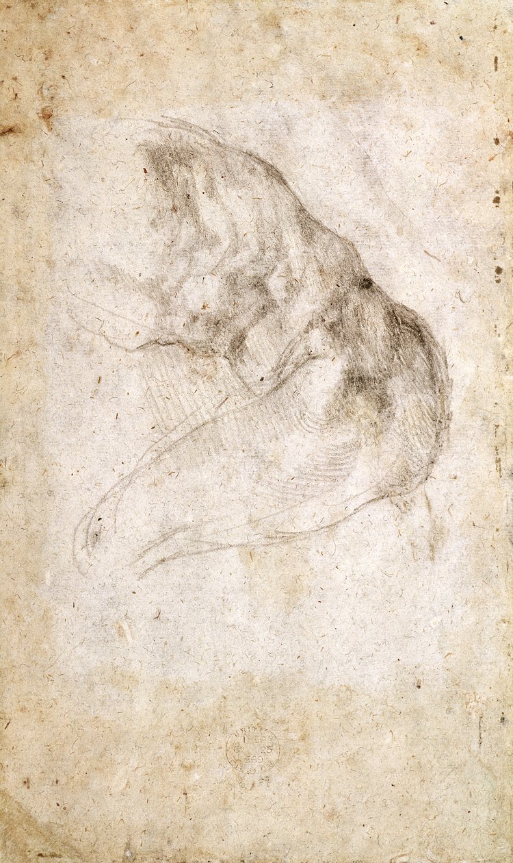 Estudo para a criação de Adão (giz preto sobre papel) (verso) (para reto ver 191766) de Michelangelo Buonarroti