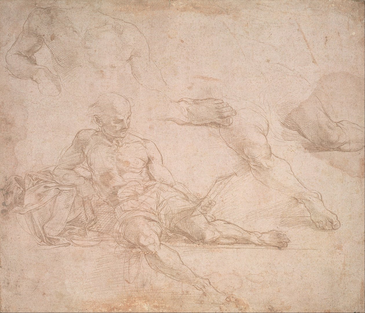 Estudo para a figura de Diógenes na Escola de Atenas de Michelangelo Buonarroti