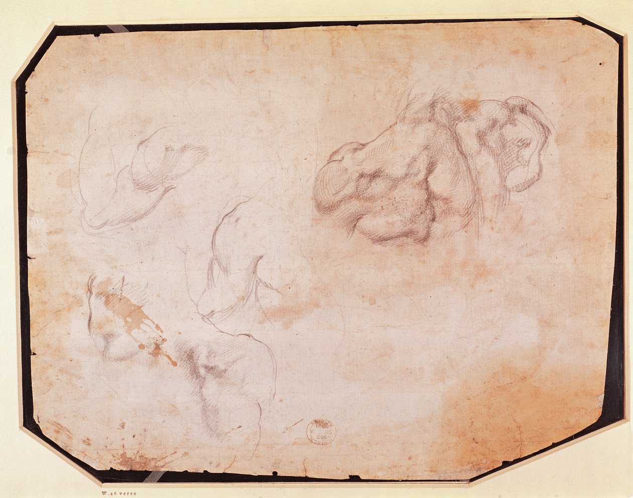Estudo dos Músculos (verso) (para reto ver 191769) de Michelangelo Buonarroti