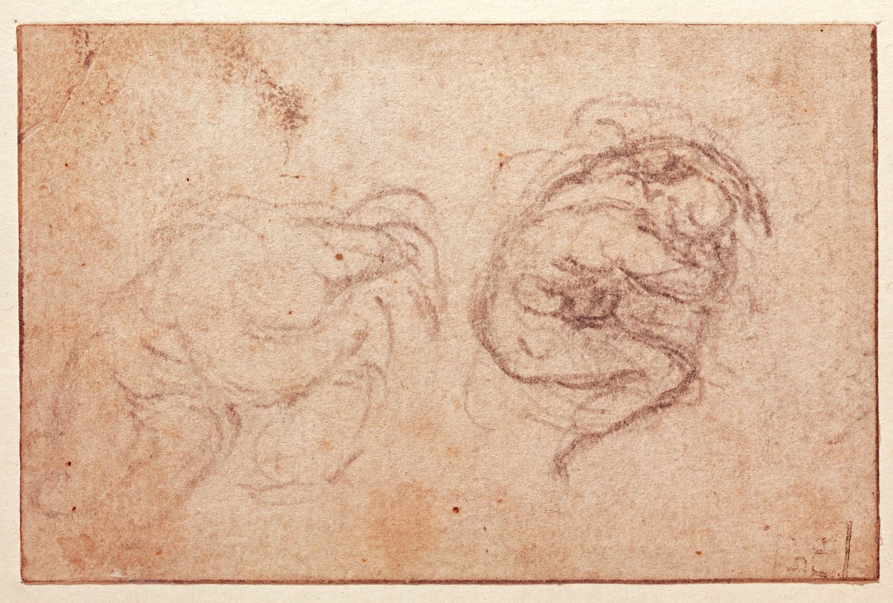 Estudo de uma figura agachada (giz preto sobre papel) (reto) de Michelangelo Buonarroti