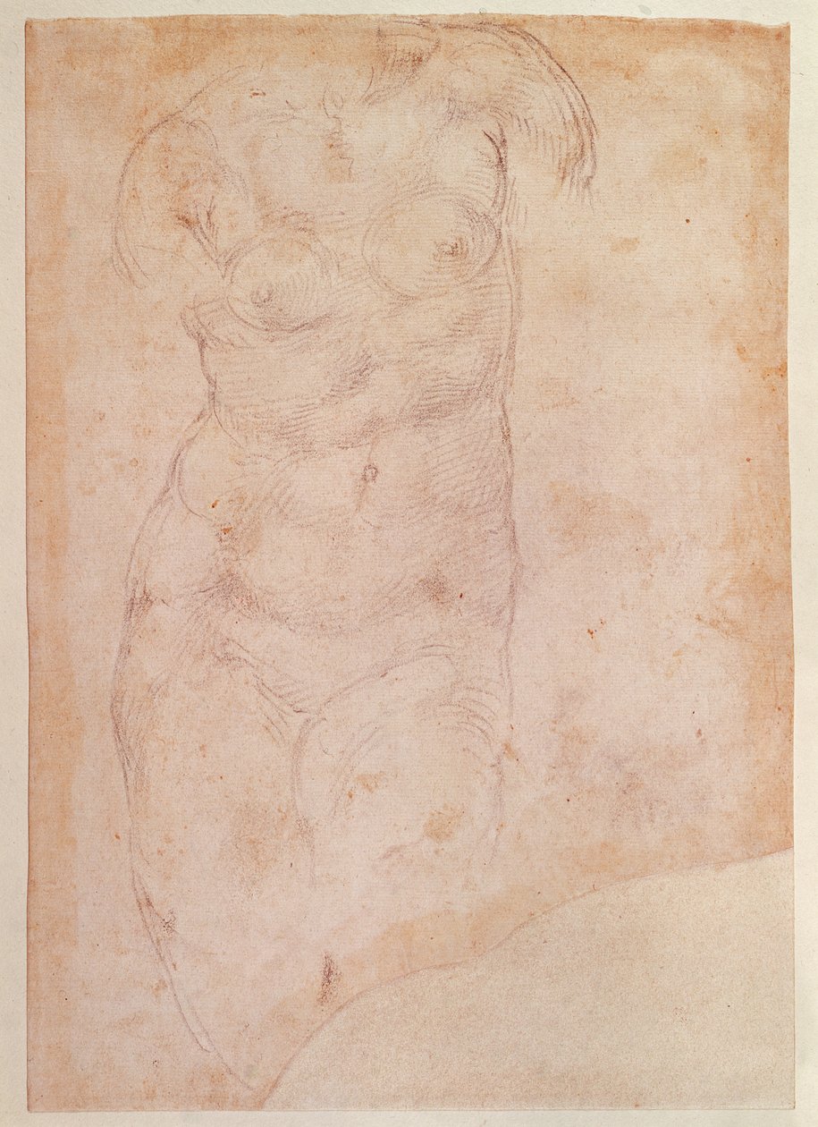 Estudo de um nu feminino de Michelangelo Buonarroti
