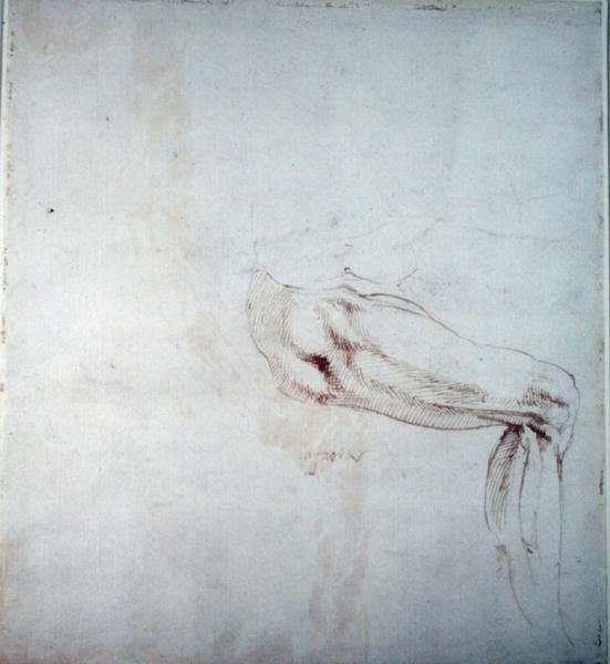 Estudo de uma perna com notas (tinta marrom sobre papel) (reto) de Michelangelo Buonarroti