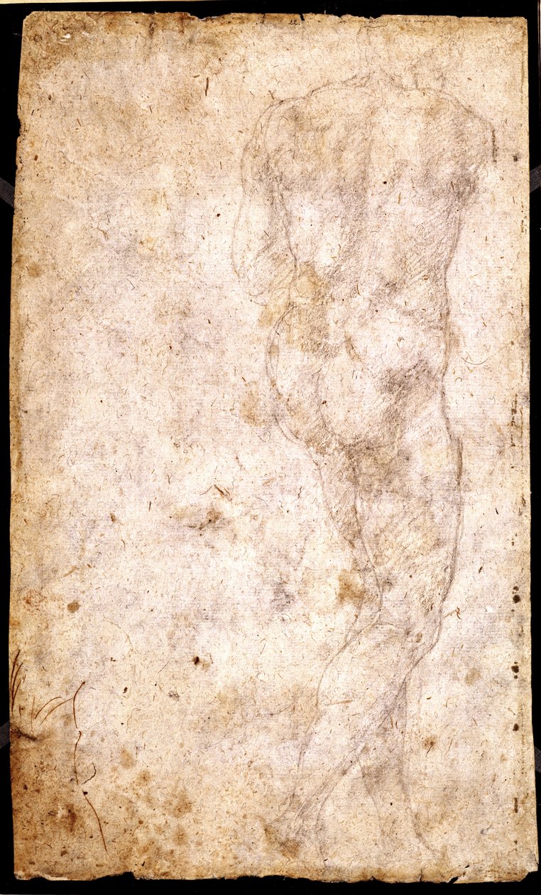 Estudo de um nu masculino de Michelangelo Buonarroti