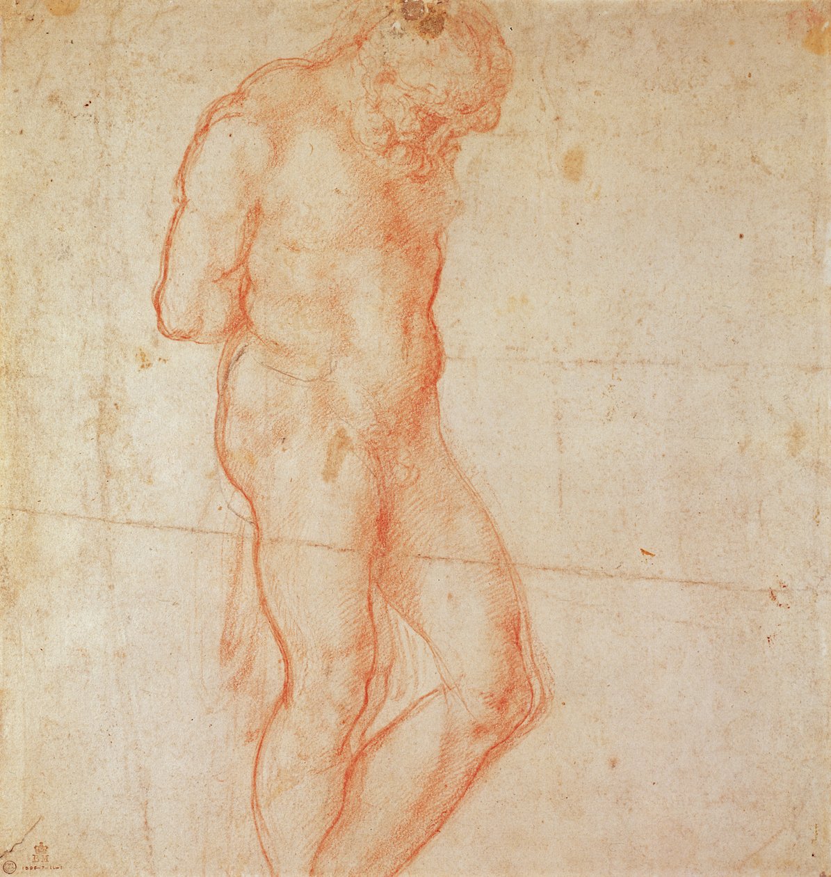 Estudo de um nu de Michelangelo Buonarroti