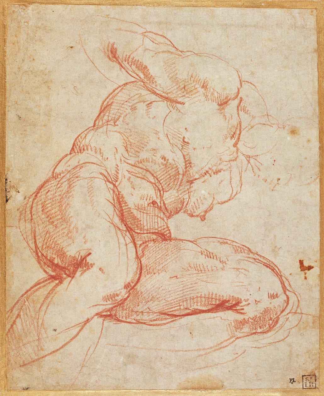 Estudo de um nu de Michelangelo Buonarroti