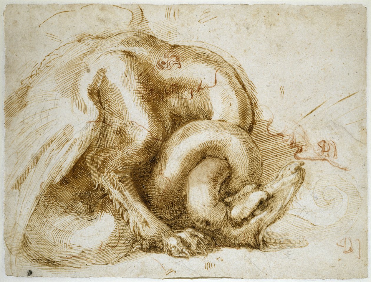 Estudo de um monstro alado, c.1525 (vermelho e giz preto sobre papel) de Michelangelo Buonarroti