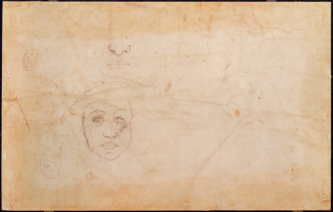 Estudo de uma cabeça masculina (verso) de Michelangelo Buonarroti