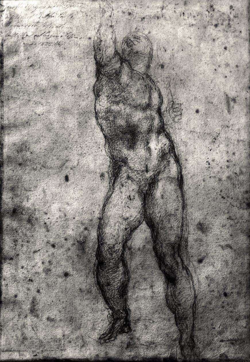 Estudo de um nu masculino de Michelangelo Buonarroti