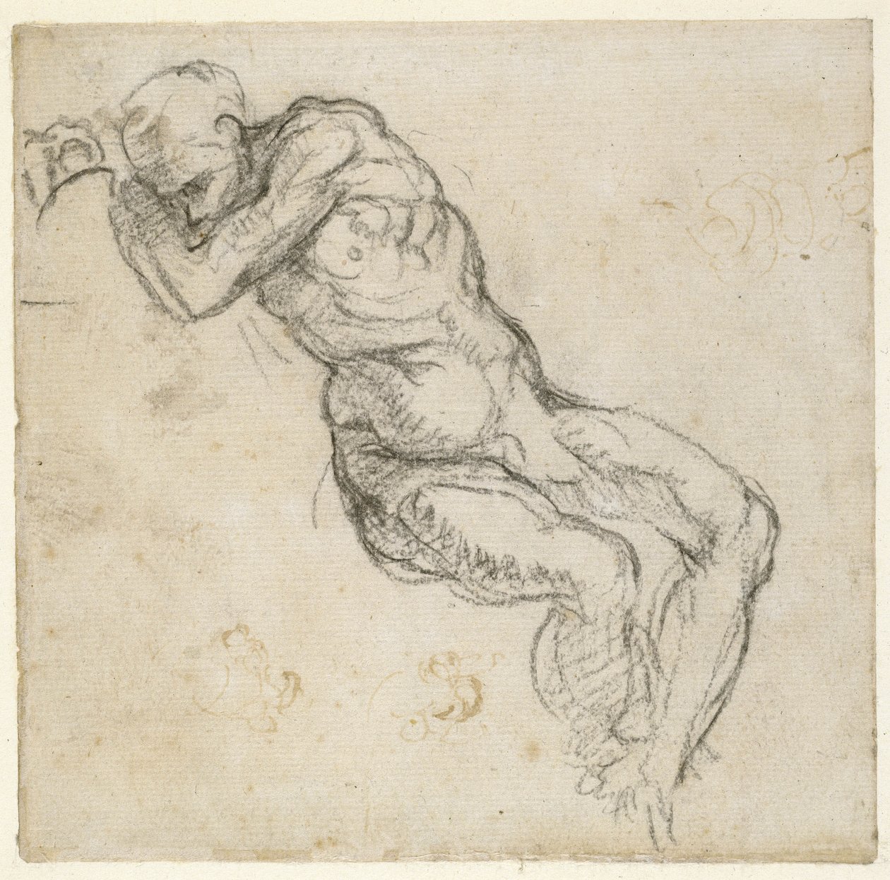 Estudo de um nu masculino, c.1511 (caneta e giz preto sobre papel) de Michelangelo Buonarroti
