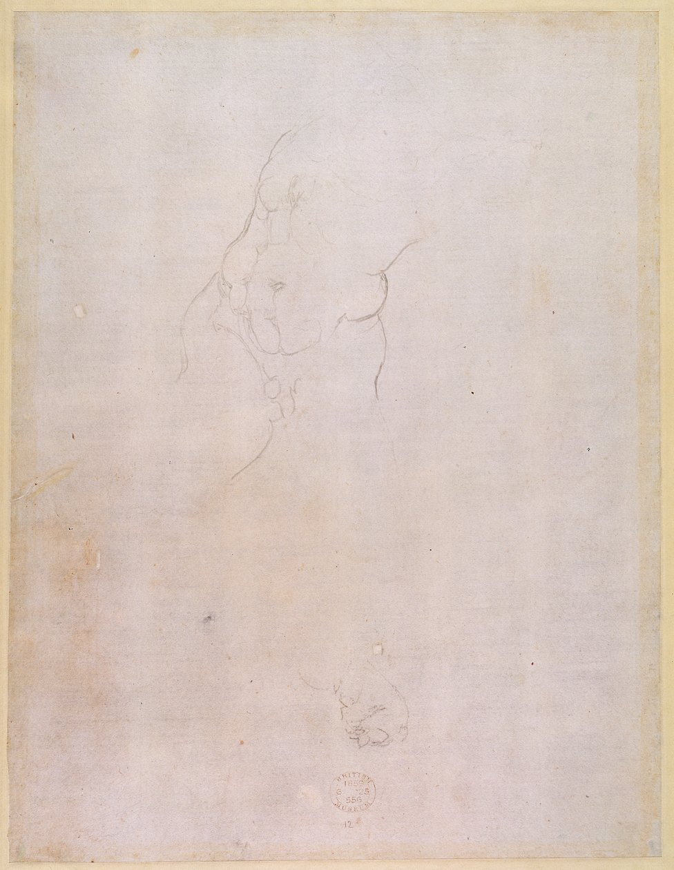 Estudo de um torso masculino (verso) (para reto ver 192512) de Michelangelo Buonarroti