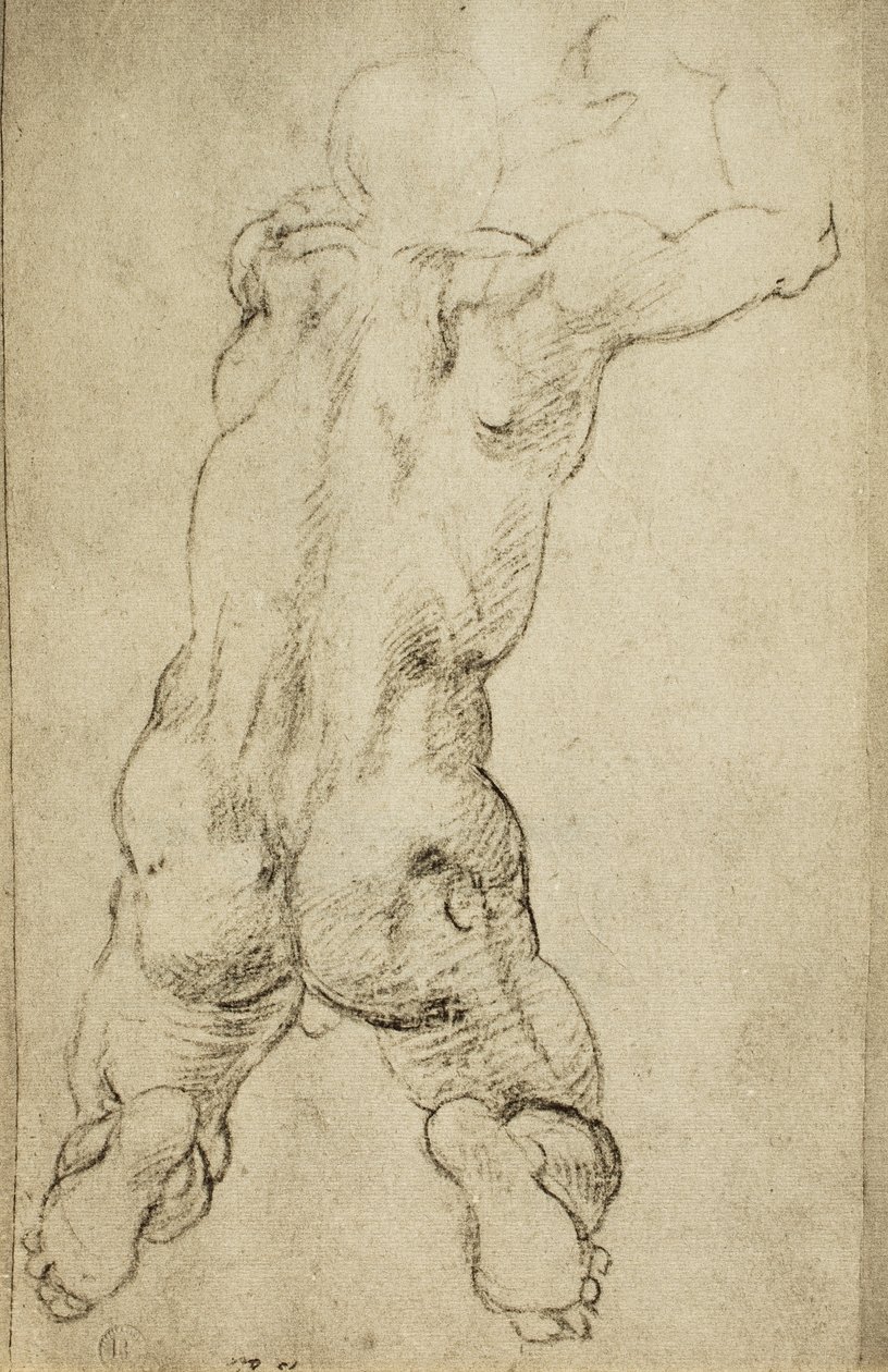 Estudo de uma figura viril: desenho de Michelangelo. Casa Buonarroti, Florença de Michelangelo Buonarroti