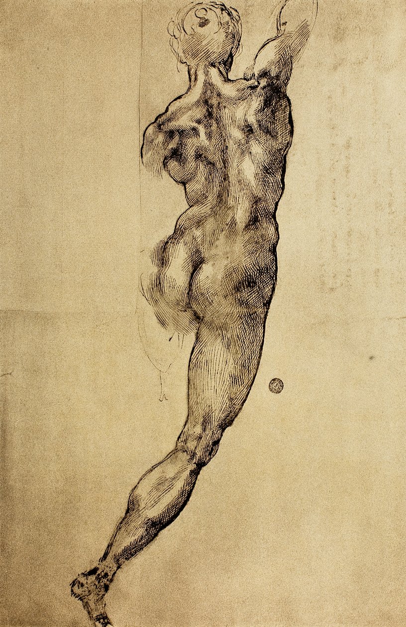 Estudo de uma figura viril vista de costas, desenhada por Michelangelo. Casa Buonarroti, Florença de Michelangelo Buonarroti