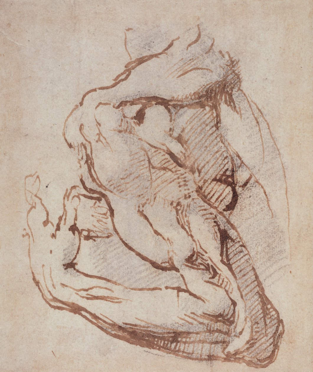 Estudo de um braço (tinta) Inv.1859514819 (W.49) de Michelangelo Buonarroti