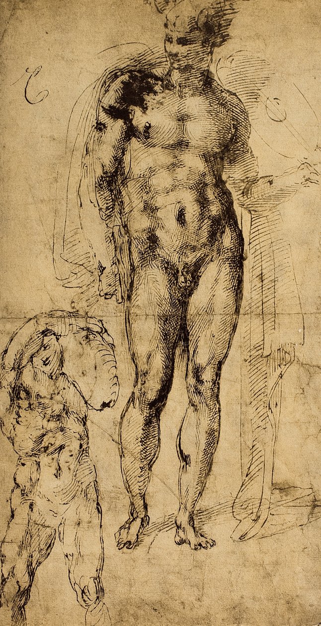 Estudo de nus; desenho de Michelangelo. O louvre, paris de Michelangelo Buonarroti