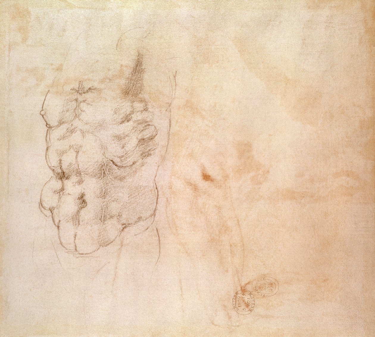 Estudo do tronco (vermelho e giz preto sobre papel) de Michelangelo Buonarroti